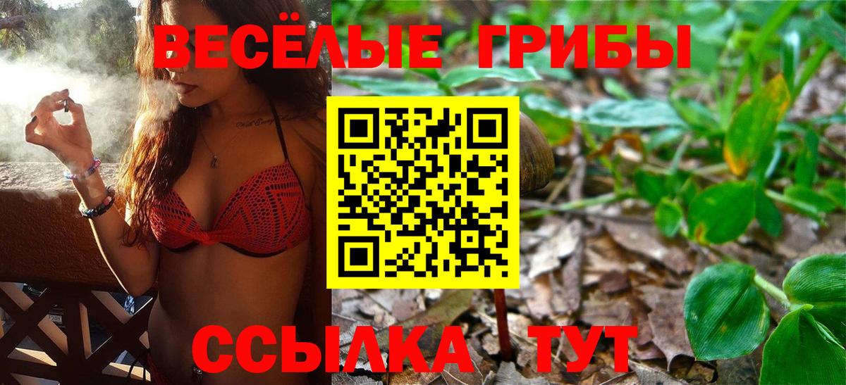 Жигулёвск  купить наркотик  Вход с VPN  Псилоцибиновые грибы MAGIC MUSHROOMS 